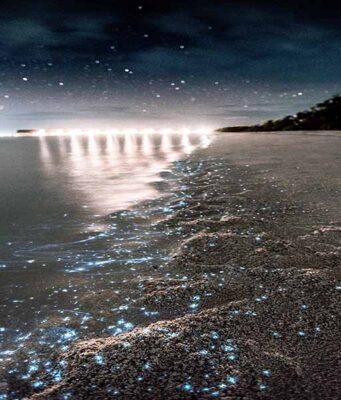 Why Does Maldives Beach Glow at Night