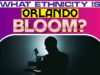 What Ethnicity Is Orlando Bloom