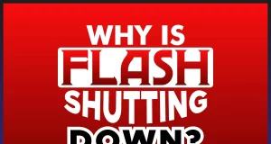 Why Is Flash Shutting Down