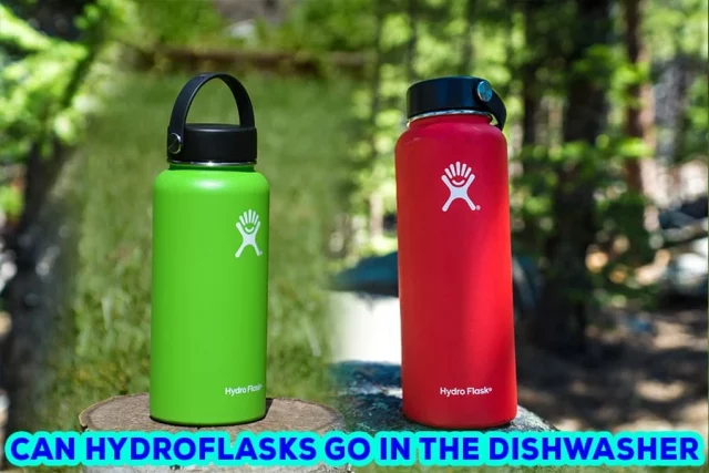 Can Hydro Flasks Go In The Dishwasher