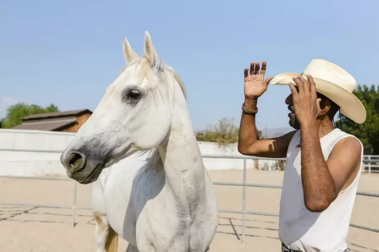 A Useful Guide On How To Keep Your Horse Healthy And Fit