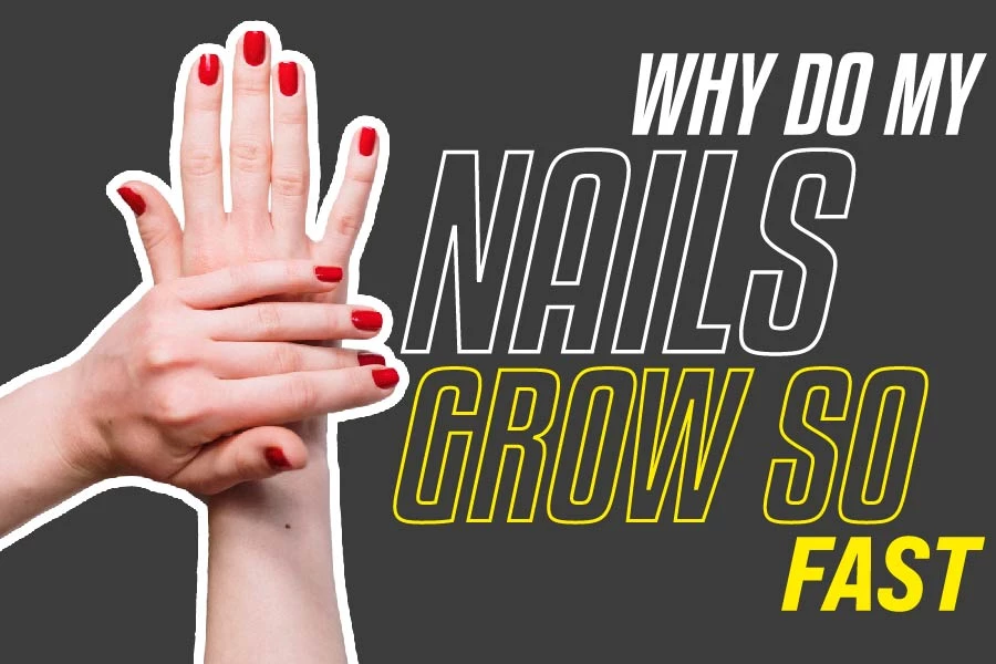Why Do My Nails Grow So Fast; Get To Know Why - South Slope News