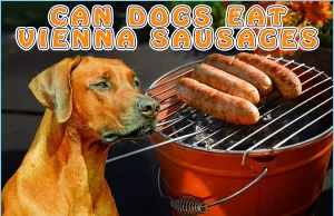 Can Dogs Eat Vienna Sausages