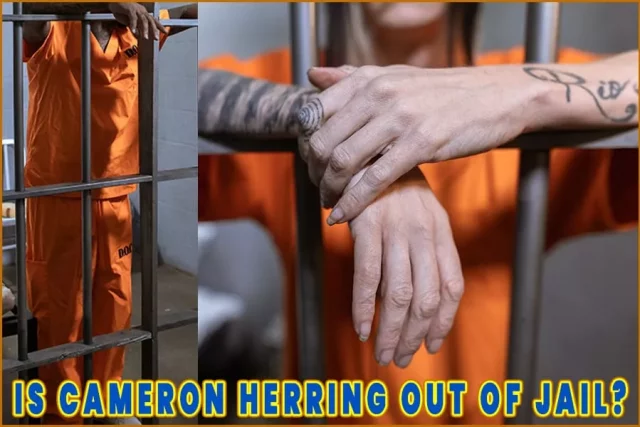 Is Cameron Herring Out of Jail