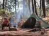 6 Survival Tips For Your First Trip To The Forest