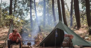 6 Survival Tips For Your First Trip To The Forest