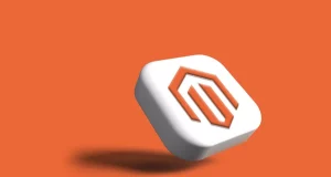 How To Make Magento 2 Quickly