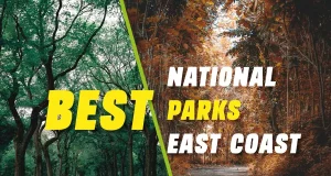 Best National Parks East Coast