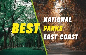 Best National Parks East Coast