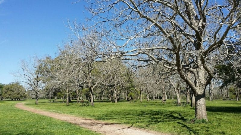 Brazos Bend State Park 