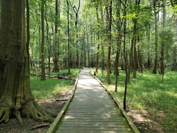 Congaree National Park