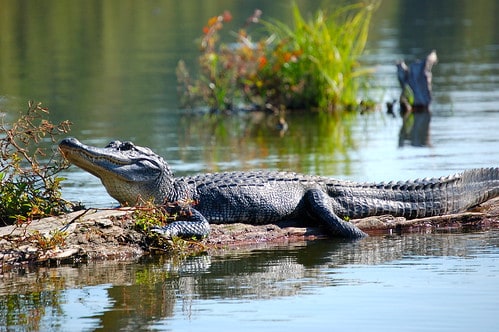 Everglades National Park