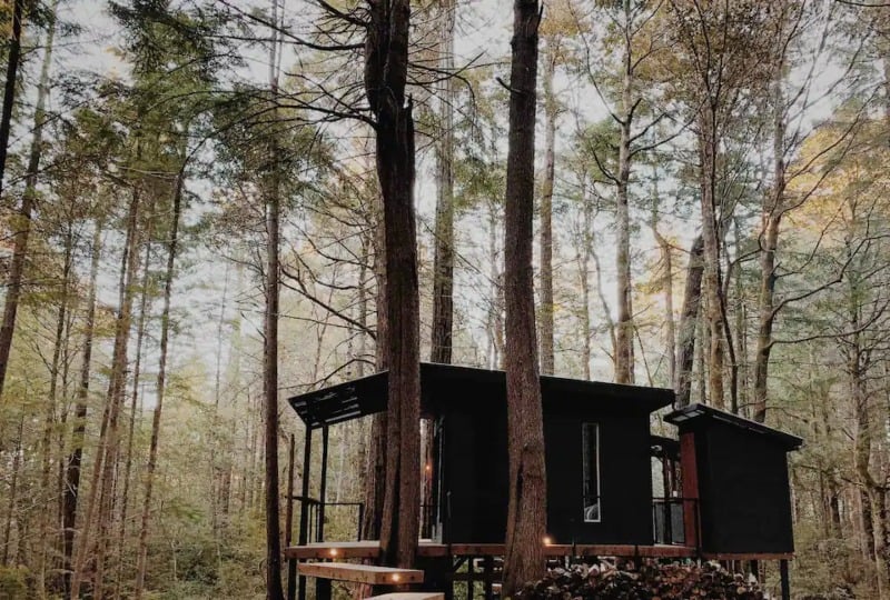 Forest Camping Hut  