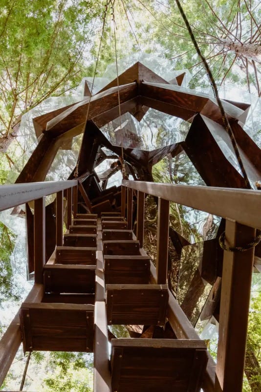 The Pinecone Treehouse