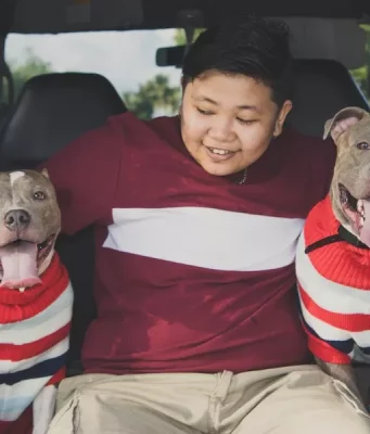 Are Dog Hammocks Safe For The Car
