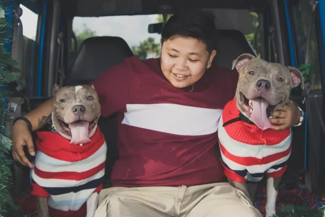 Are Dog Hammocks Safe For The Car