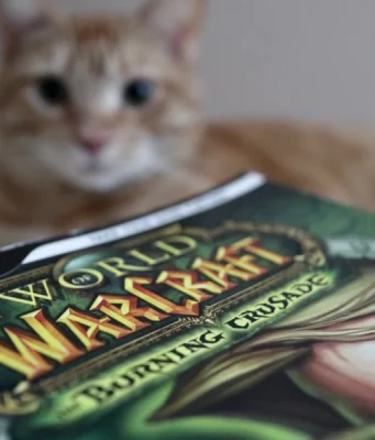 Guide To Playing As A Warrior With The Defense Specialization In World Of Warcraft