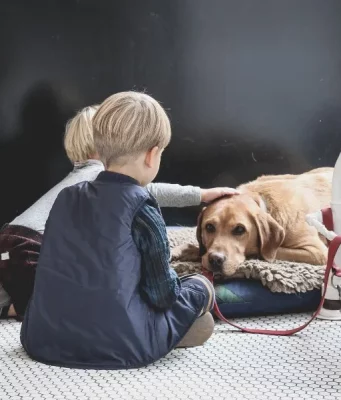Tips For Better Communication With Your Dog 