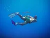 Tips And Tricks For Improving Your Scuba Diving Skills