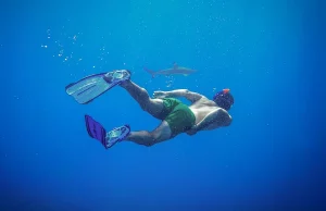 Tips And Tricks For Improving Your Scuba Diving Skills
