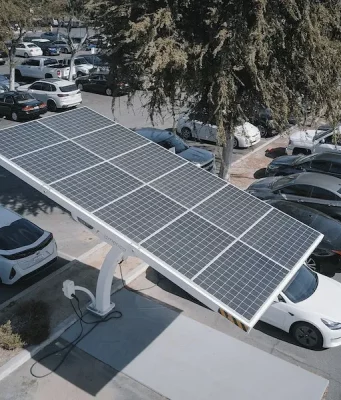 Which Electric Cars Are Growing In Popularity