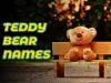 Teddy Bear Names
