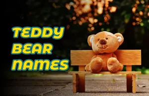 Teddy Bear Names