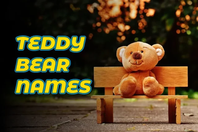 Teddy Bear Names