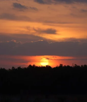 The Sun's Movement Throughout The Year