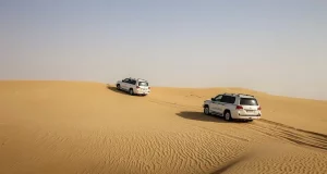 Most Popular Cars In Dubai