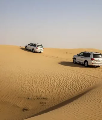 Most Popular Cars In Dubai