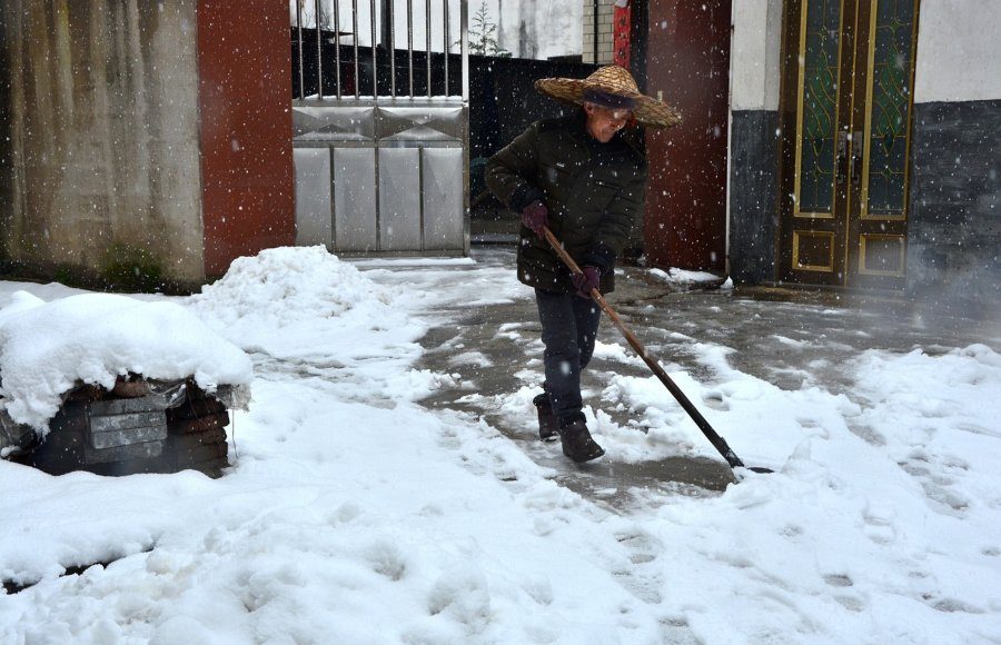 300 Cute Bat Names Complete Inspiration Guide South Slope News 300-cute-bat-names-complete-inspiration-guide-south-slope-news