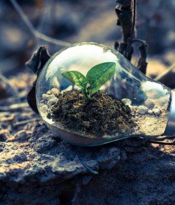 The Intersection Of Plant Growth And Technology With Boyagrowlight's Latest Innovation