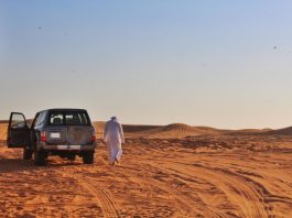 Best Things To Do In Dubai With Family