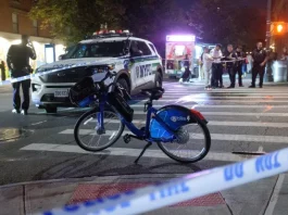 Jacob Priley Beloved PR Representative in Critical Condition Following a Bicycle Accident in Brooklyn