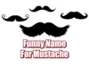 Funny Name For Mustache