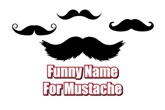 Funny Name For Mustache