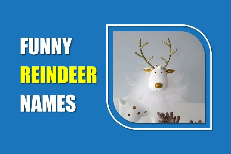 250+ Funny Reindeer Names: Get Festive And Funny