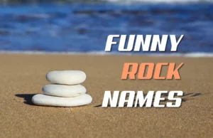 Funny Rock Names