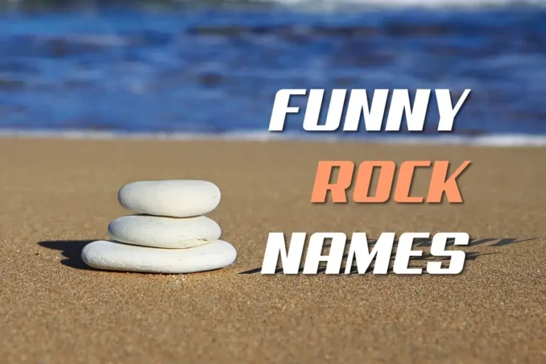 280+ Funny Rock Names: A Playful Guide to Naming Pet Rock
