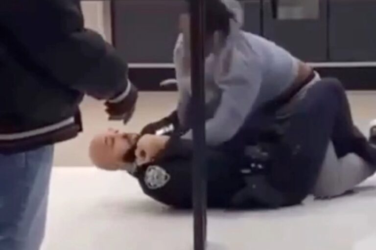 Assailant Uses Chemicals on Police at Atlantic Terminal Target, According to NYPD