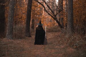 550+ Wood Elf Names: Complete Guide - South Slope News