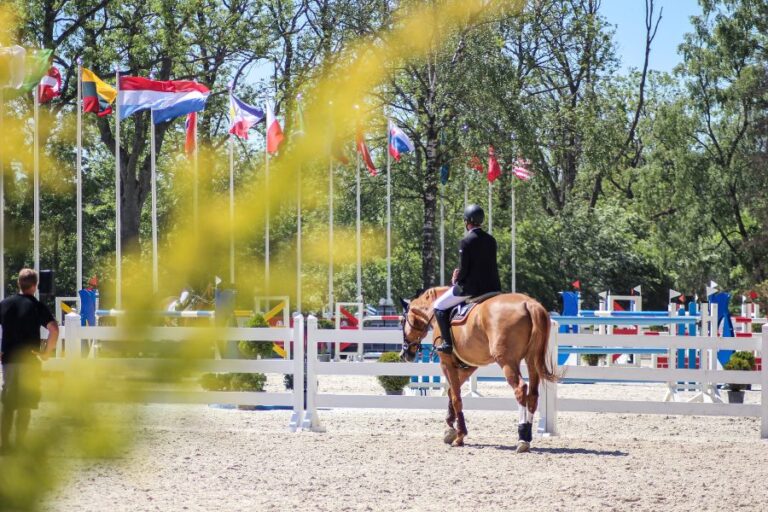 Simplifying Your Next Equine Event In North Carolina: Tips For A Seamless Experience