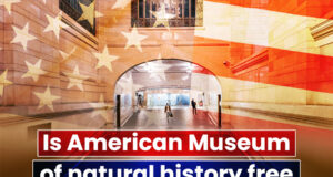 Is The American Museum Of Natural History Free