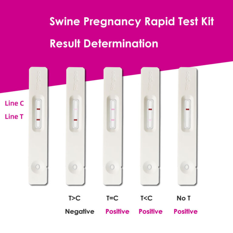 How Many Days Pregnancy Can Be Confirmed by Urine Test: Essential Insights