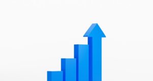 Duolingo Statistics