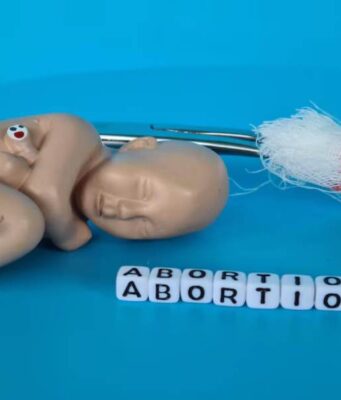 What is the Abortion Law in Michigan