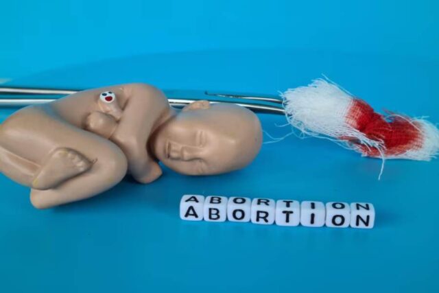 What is the Abortion Law in Michigan