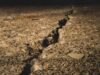 Was There an Earthquake in Texas