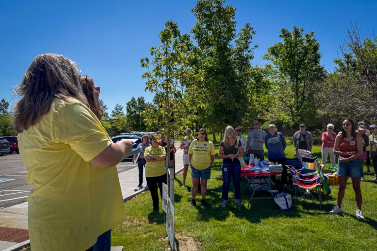 Douglas County Residents Face Crucial Decision on Home Rule Amidst Divisive Opinions